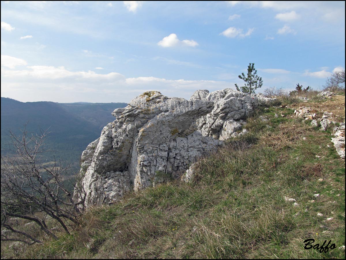 Rocce del Carso triestino